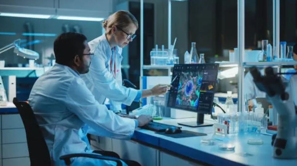 Comprehensive Service Offerings